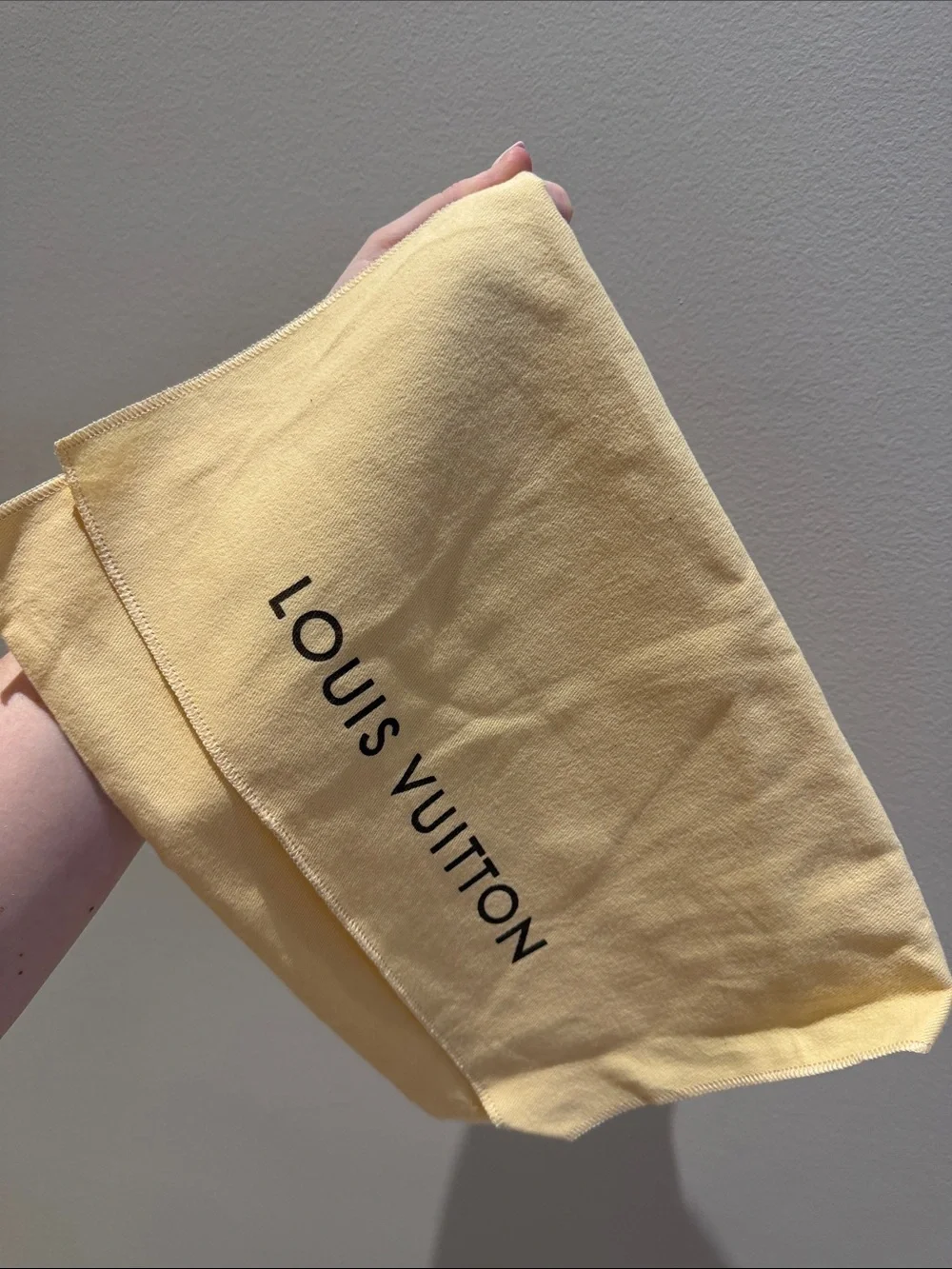 Louis Vuitton Dust Bag
